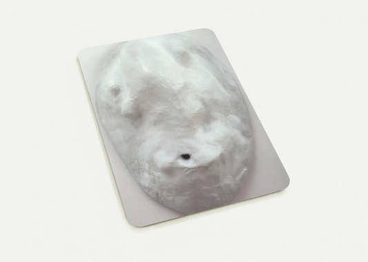 AMOEBA 1965 By Louise Bourgeois Pack of 10 Post Cards | Louise Bourgeois Post Cards | A6 (10.5 x 14.8 cm) - 4.1 x 5.8 inches