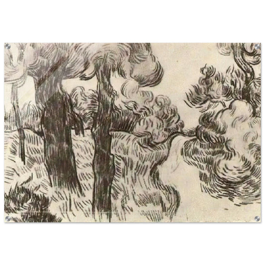 Path between Pine Trees - Vincent van Gogh Acrylic Print - 70x100 cm / 28x40″ inches | Vincent van Gogh Wall Art | Vincent van Gogh Prints