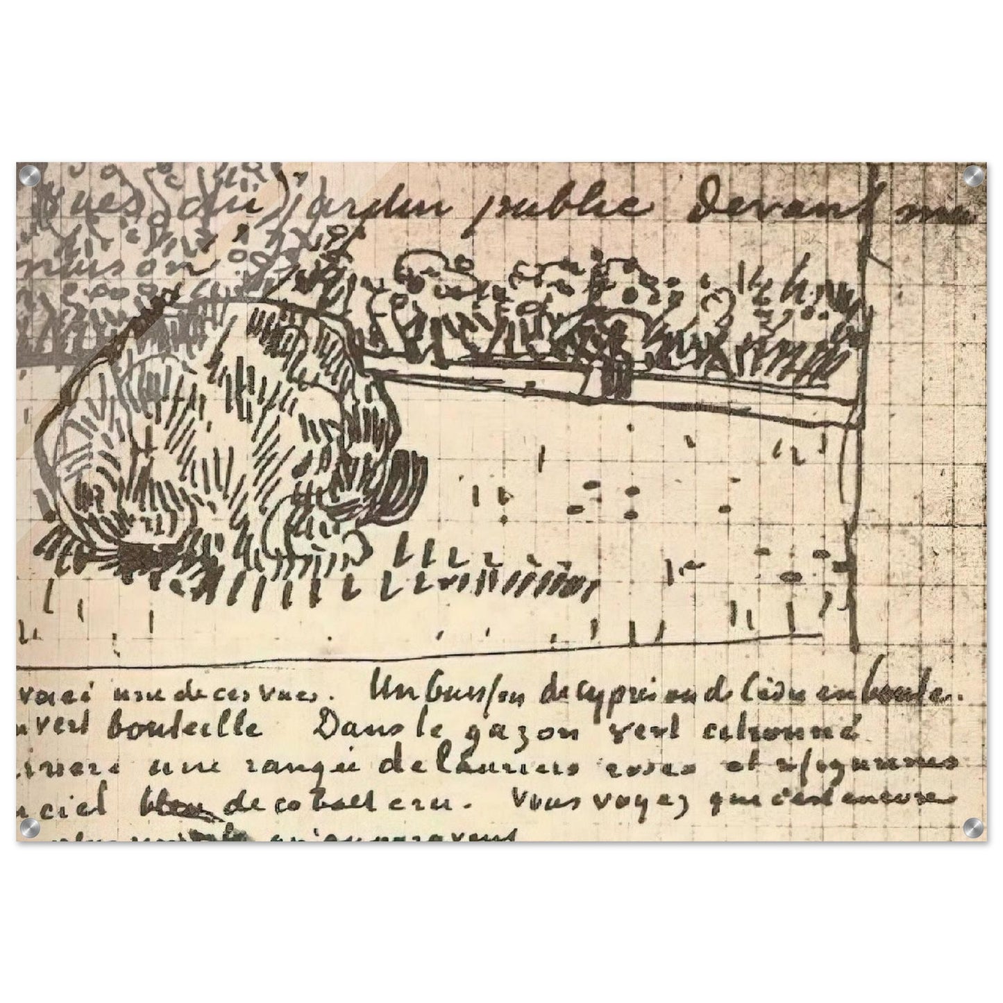 Round Clipped Shrub in the Public Garden - Vincent van Gogh Acrylic Print - 70x100 cm / 28x40″ inches