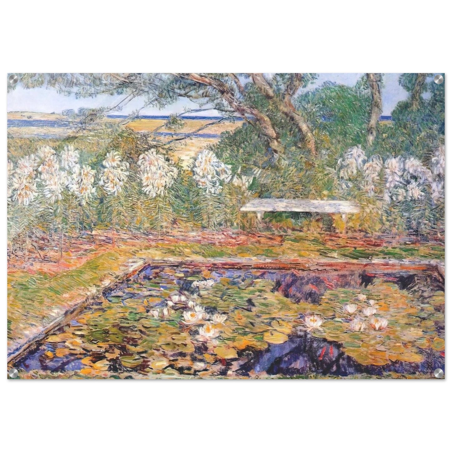 A long island garden - Childe Hassam Acrylic Print - 70x100 cm / 28x40″ inches