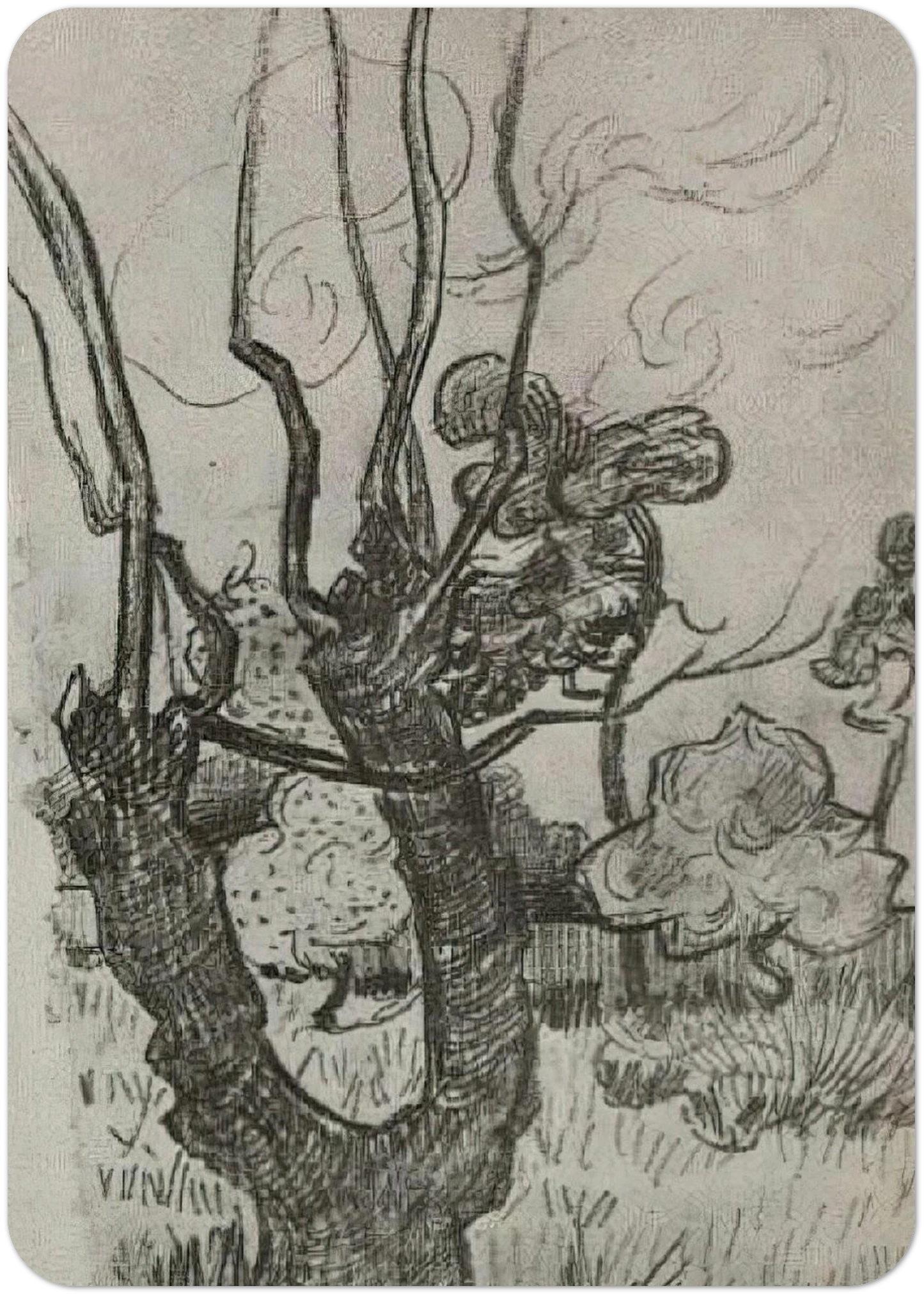 A Bare Treetop in the Garden of the Asylum By Vincent van Gogh Pack of 10 Post Cards | Vincent van Gogh Post Cards | A6 (10.5 x 14.8 cm) - 4.1 x 5.8 inches