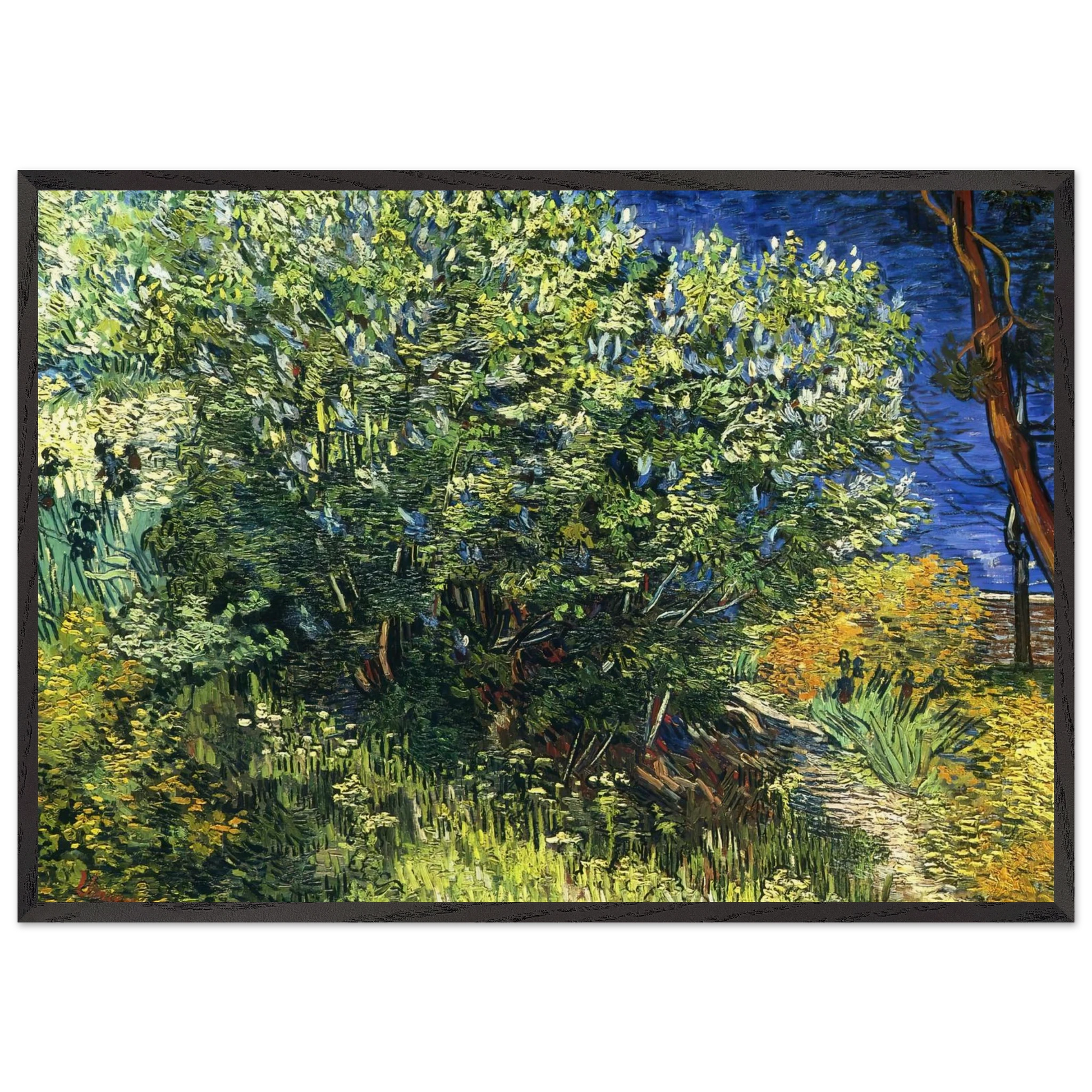 Lilac Bush - Vincent van Gogh Framed Art Print – Black Wooden Frame - Default Title - -Framed Art Print