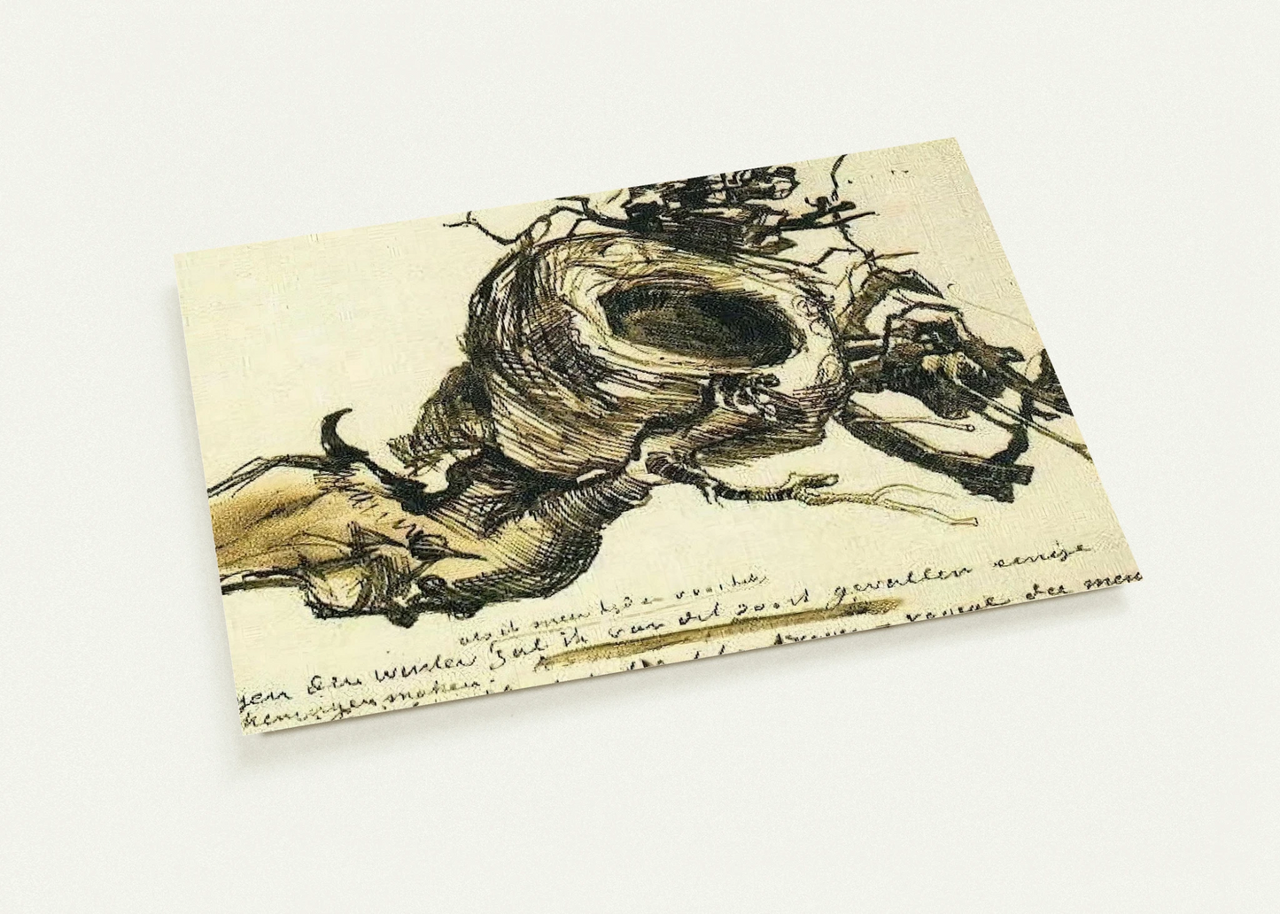 Bird's Nest By Vincent van Gogh Pack of 10 Post Cards | Vincent van Gogh Post Cards | A6 (10.5 x 14.8 cm) - 4.1 x 5.8 inches
