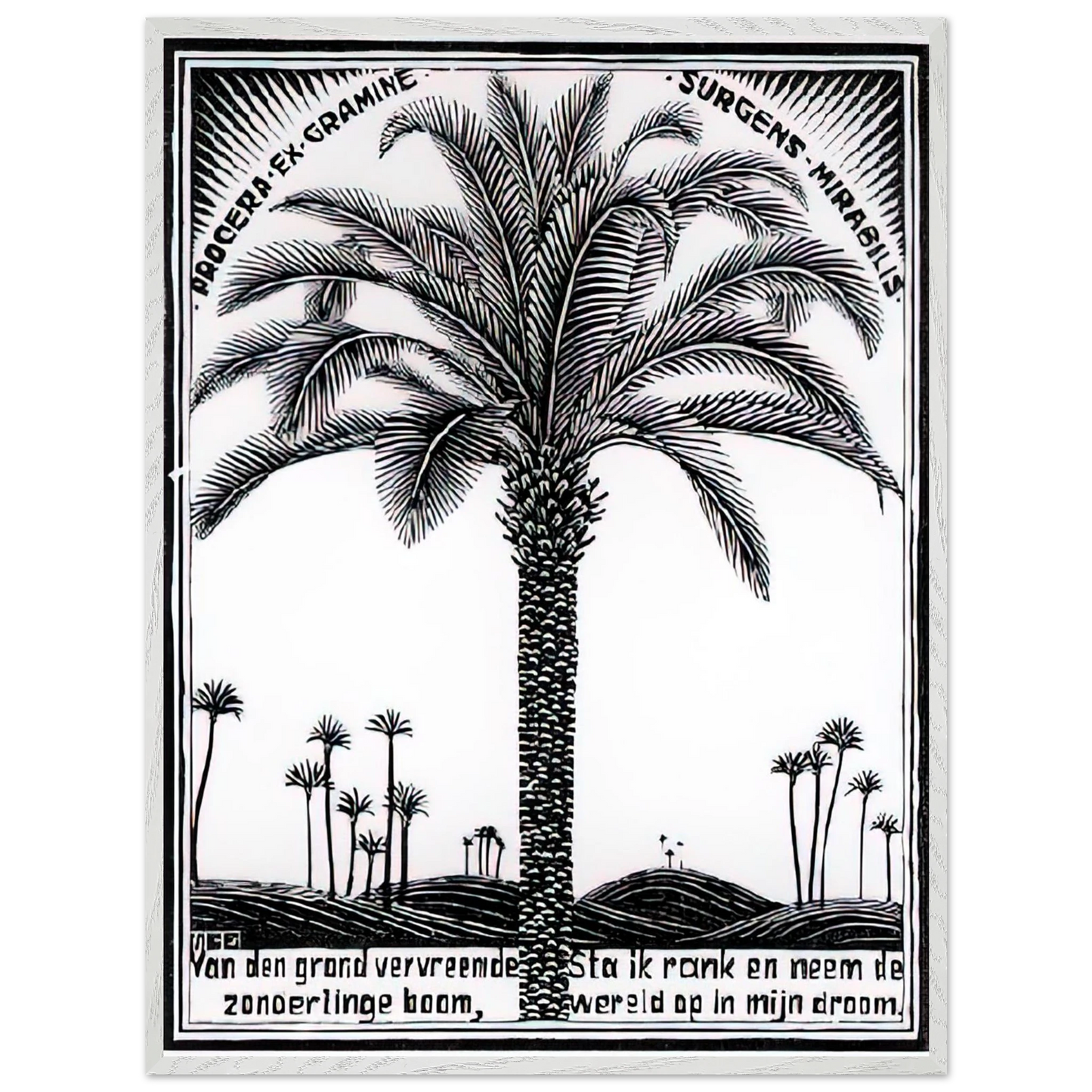 MC Escher - PALM TREE 1 Wall Art - 30x40 cm / 12x16 inches - Fine Art Poster - -