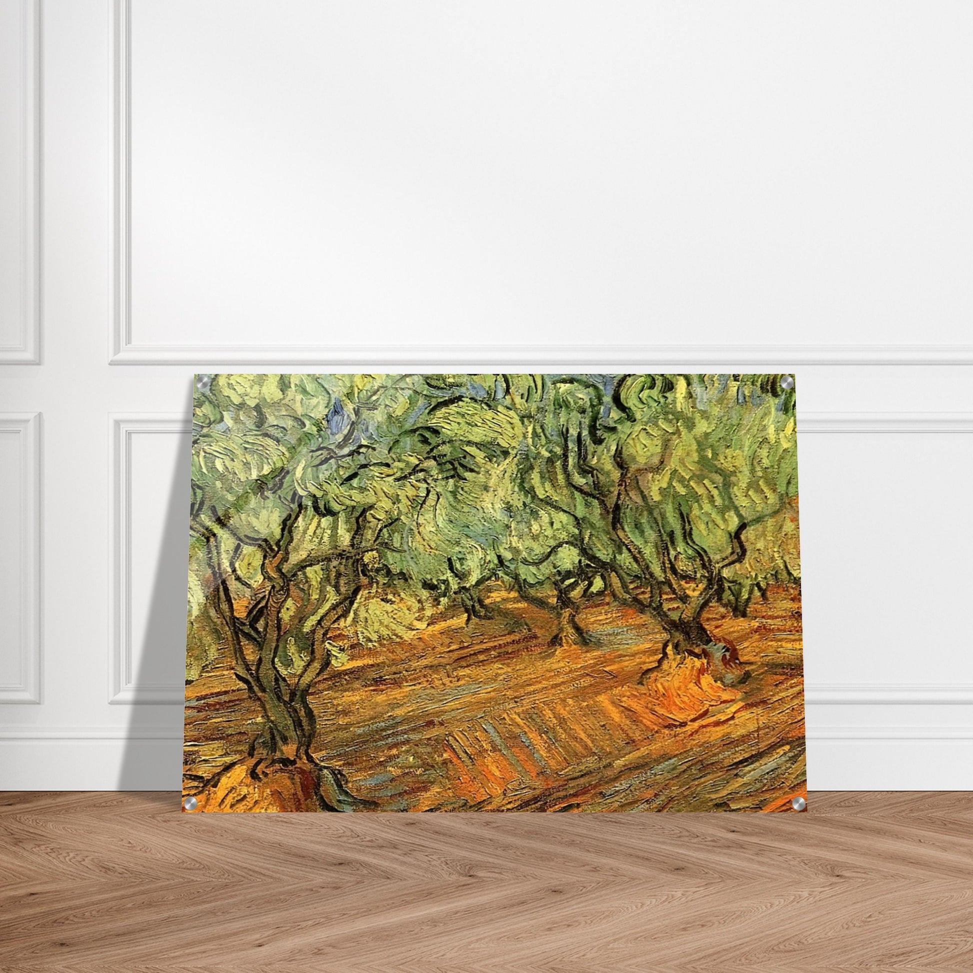 Olive Grove - Bright Blue Sky - Vincent van Gogh Acrylic Print - 70x100 cm / 28x40″ inches