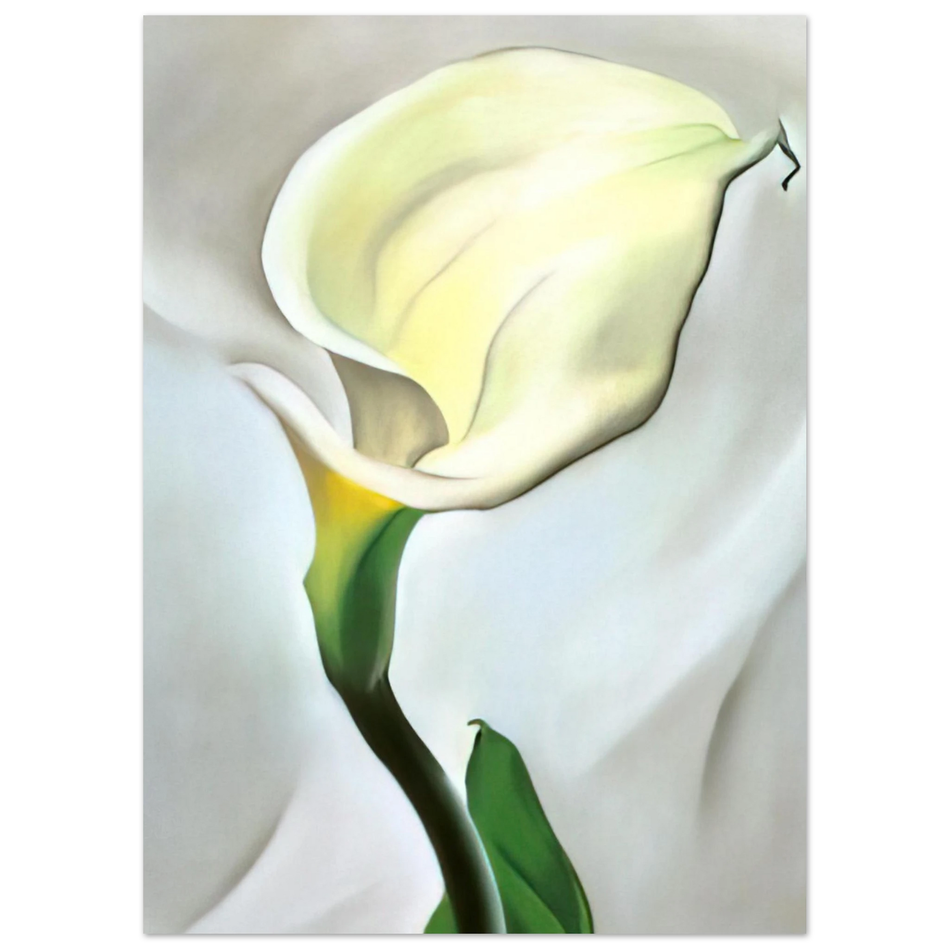 Georgia O'Keeffe - Calla Lily Turned Away Fine Art Poster - 40x60 cm / 16x24 inches