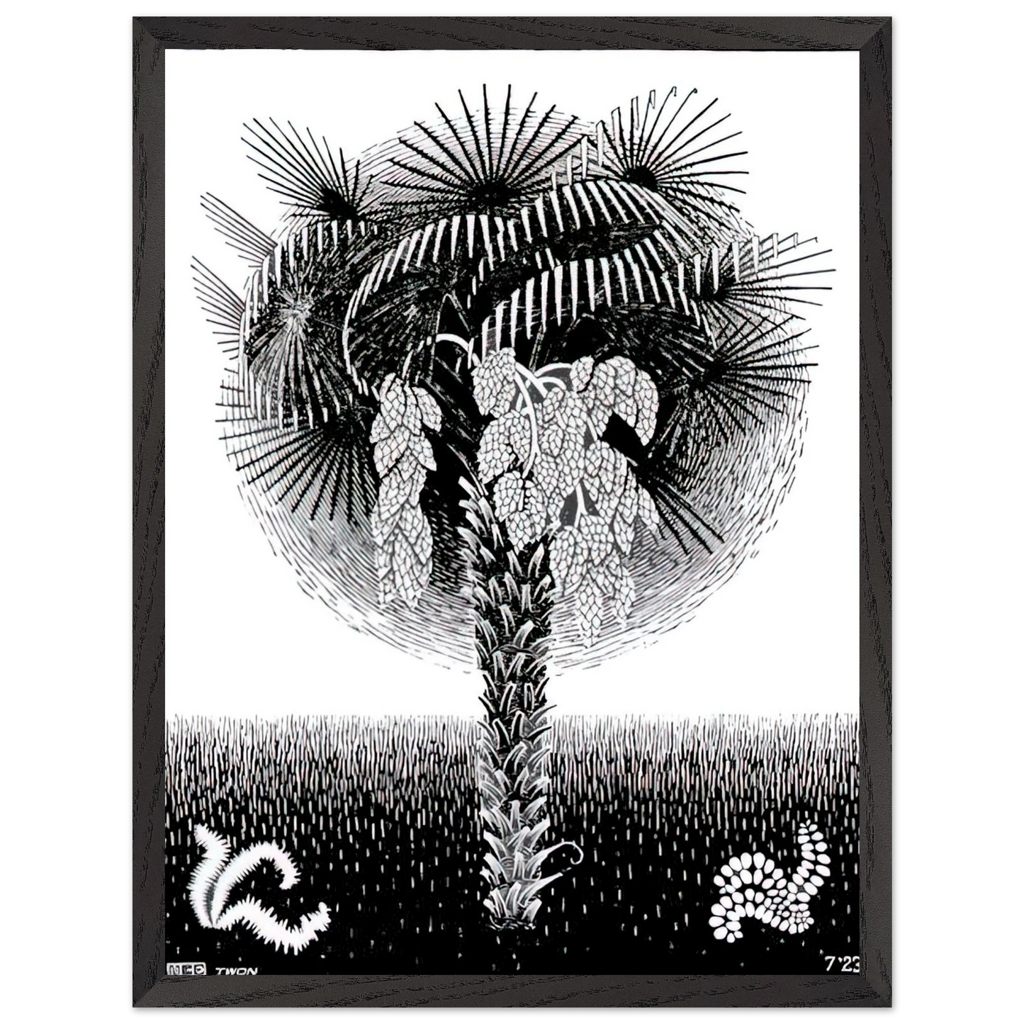 MC Escher - PALM TREE Wall Art - 60x80 cm / 24x32 inches - Premium Wooden Framed Poster With Fine Art Paper - White frame