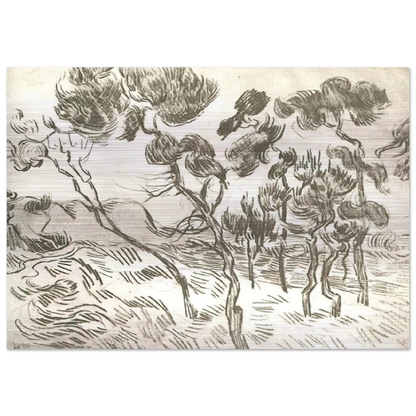 A Group of Pine Trees near a House - Vincent van Gogh Brushed Aluminum Print - 70x100 cm / 28x40 inches | Vincent van Gogh Aluminum Print | Vincent van Gogh Prints
