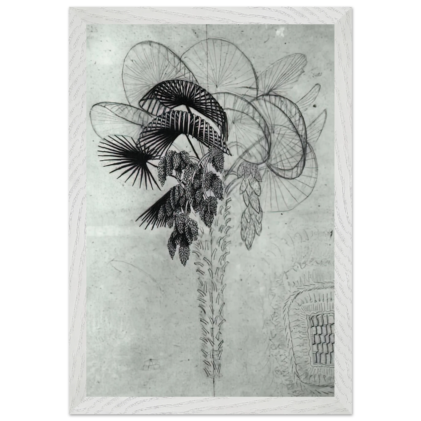 MC Escher - PALM TREE SKETCH Wall Art - 30x40 cm / 12x16 inches - Premium Wooden Framed Poster With Fine Art Paper - Wood frame