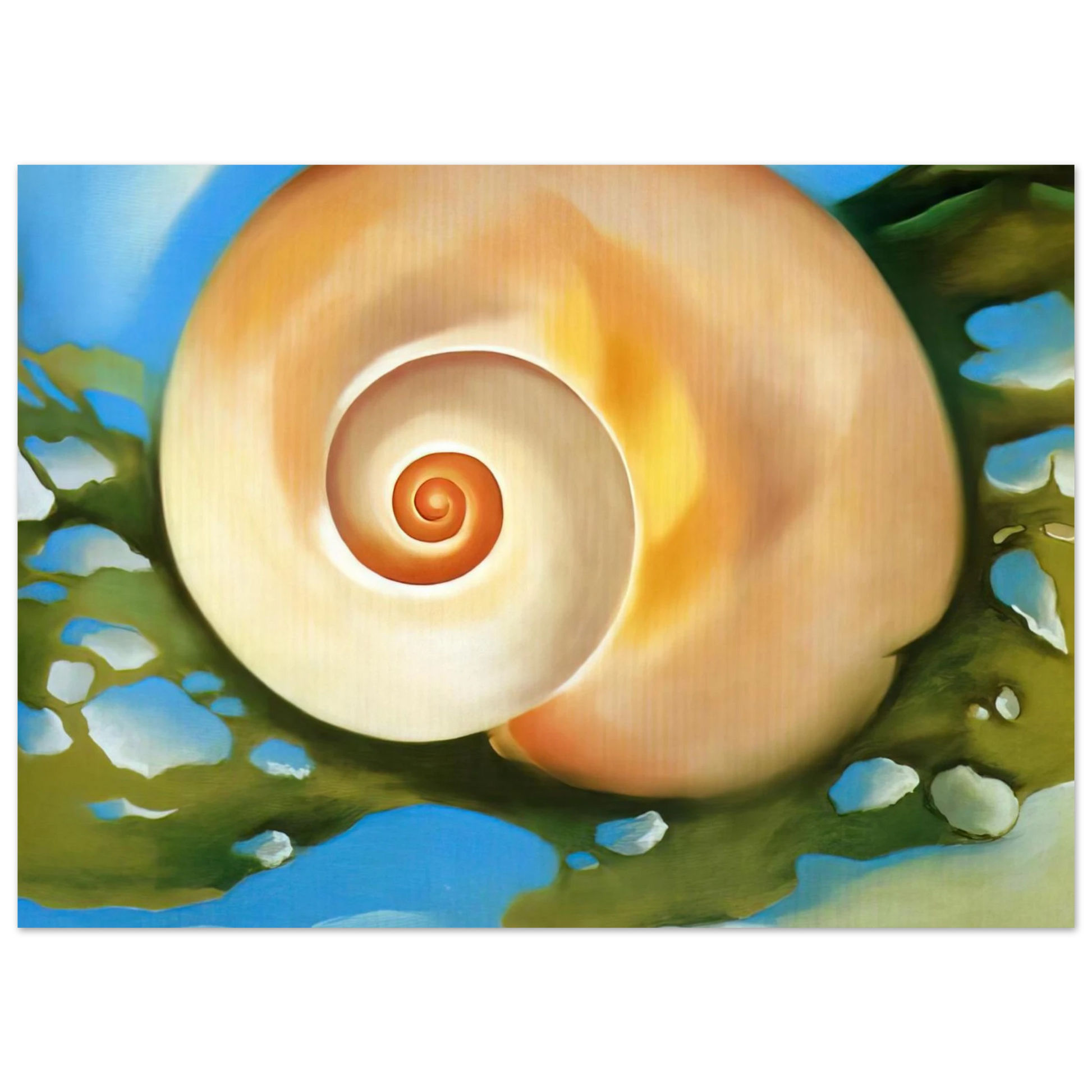 Georgia O'Keeffe - Pink Shell with Seaweed Fine Art Poster - 40x60 cm / 16x24 inches