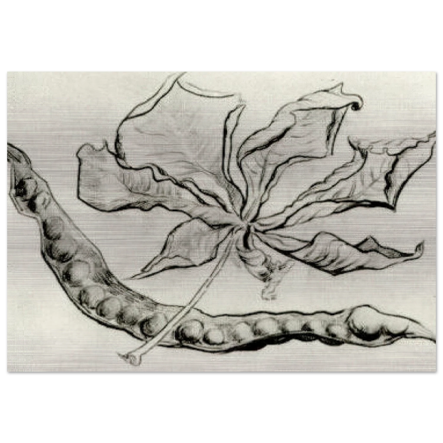 Dead Leaf and Pod - Vincent van Gogh Brushed Aluminum Print - 70x100 cm / 28x40 inches | Vincent van Gogh Aluminum Print | Vincent van Gogh Prints