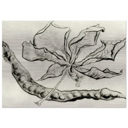 Dead Leaf and Pod - Vincent van Gogh Brushed Aluminum Print - 70x100 cm / 28x40 inches | Vincent van Gogh Aluminum Print | Vincent van Gogh Prints