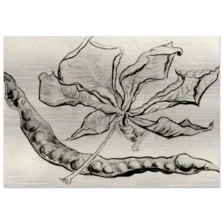 Dead Leaf and Pod - Vincent van Gogh Brushed Aluminum Print - 70x100 cm / 28x40 inches | Vincent van Gogh Aluminum Print | Vincent van Gogh Prints