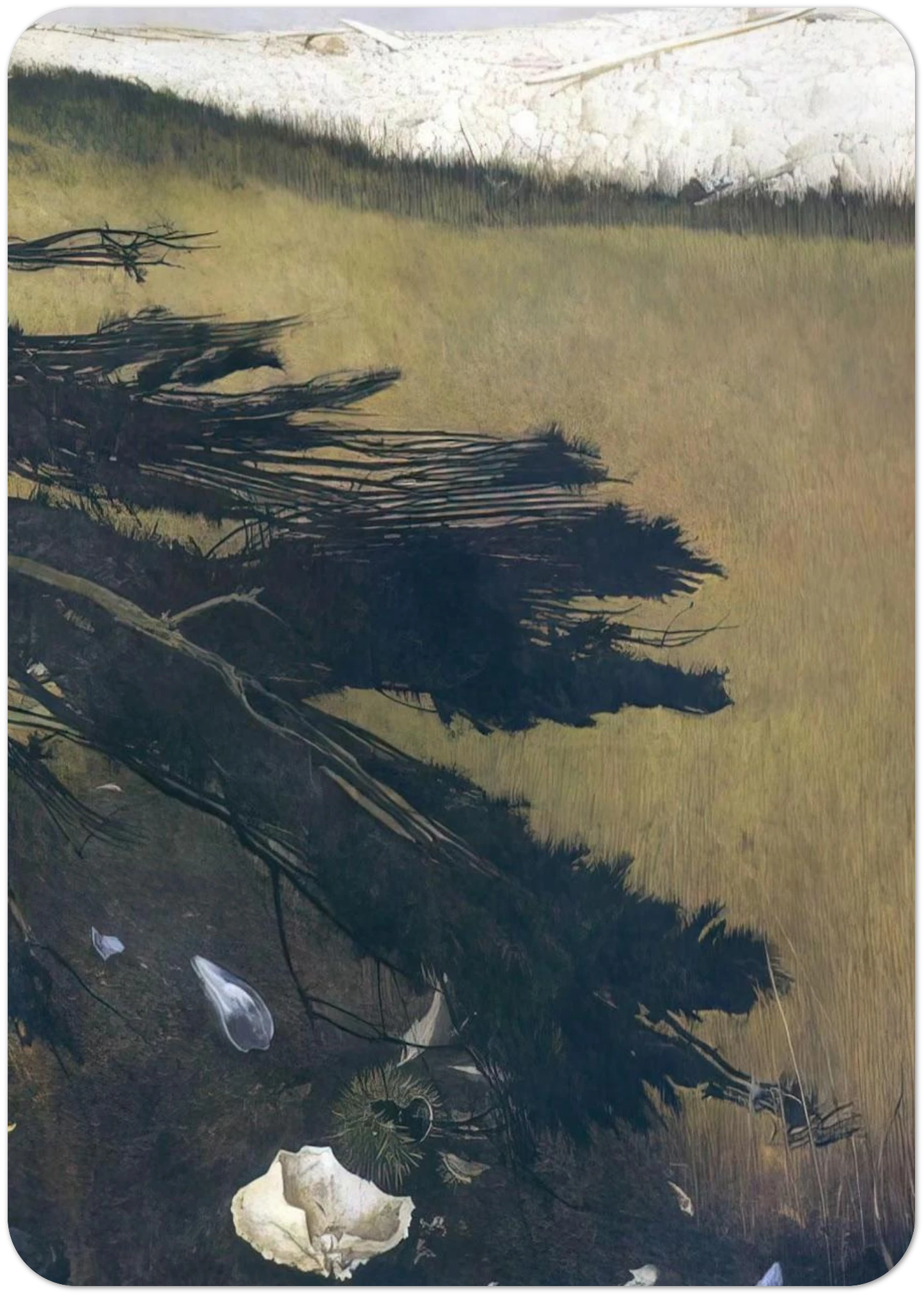 58a0933c-4bfd-45e4-97ae-97d0c90a3600