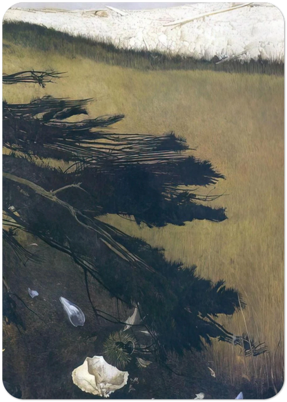 58a0933c-4bfd-45e4-97ae-97d0c90a3600