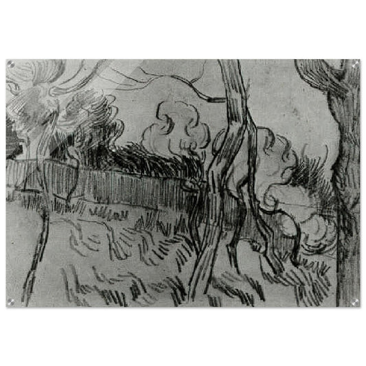 Pine Trees Seen against the Wall of the Asylum - Vincent van Gogh Acrylic Print - 70x100 cm / 28x40″ inches | Vincent van Gogh Wall Art | Vincent van Gogh Prints