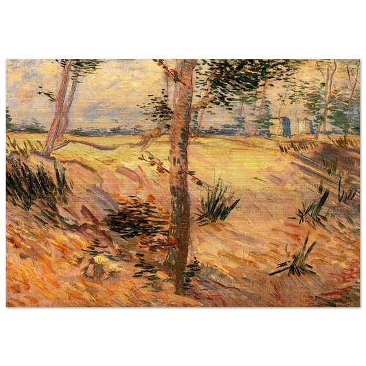 Trees in a Field on a Sunny Day - Vincent van Gogh Brushed Aluminum Print - 70x100 cm / 28x40 inches | Vincent van Gogh Aluminum Print | Vincent van Gogh Prints