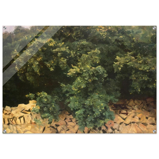 Ilex Wood, Majorca - John Singer Sargent Acrylic Print - 70x100 cm / 28x40″ inches