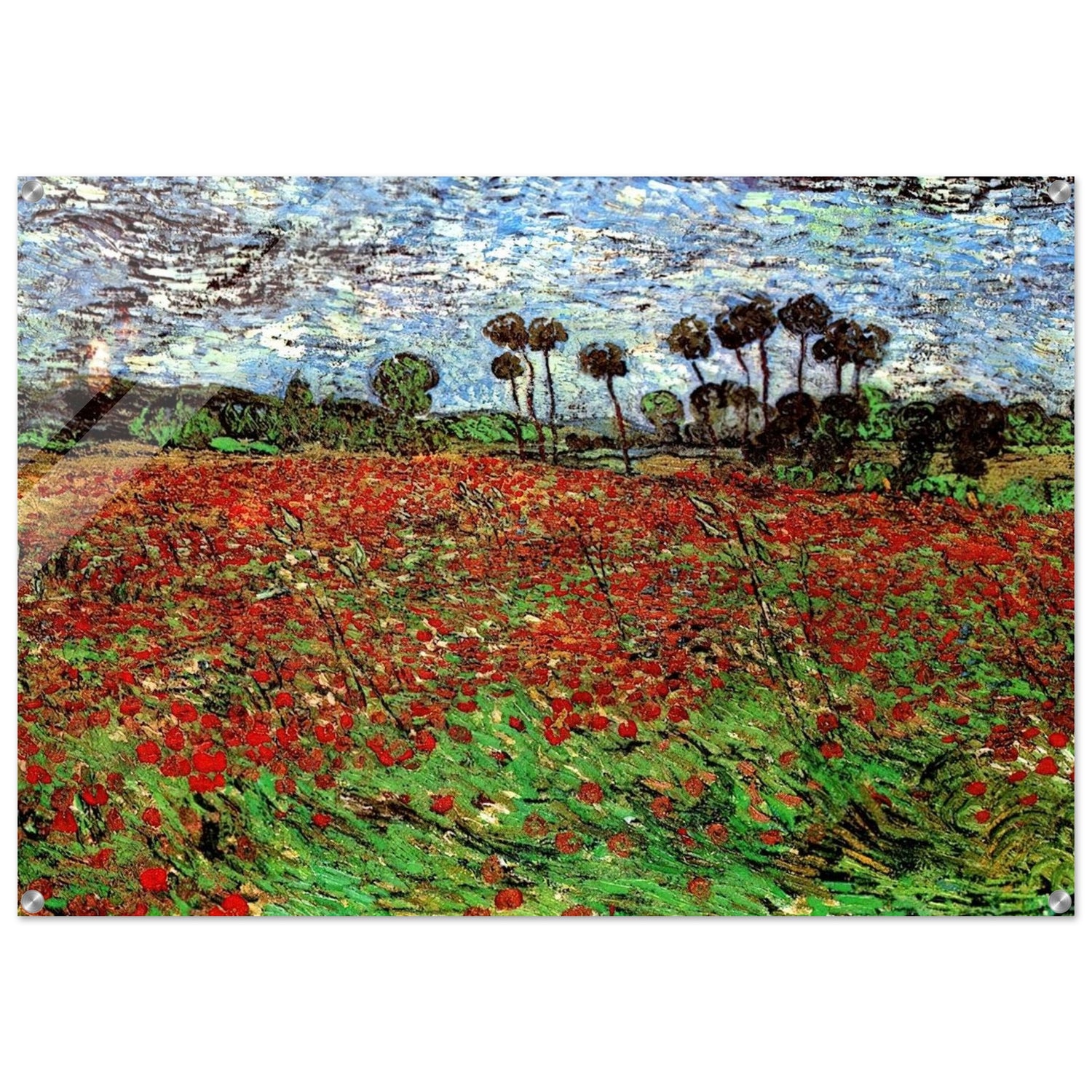 Field with Poppies - Vincent van Gogh Acrylic Print - 70x100 cm / 28x40″ inches