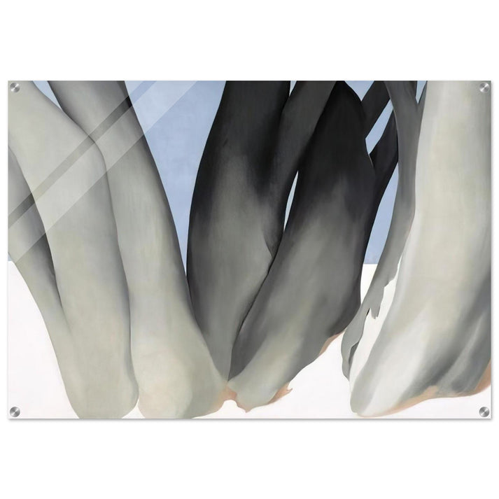 Bare Tree Trunks with Snow - Georgia O'Keeffe Acrylic Print - 70x100 cm / 28x40″ inches