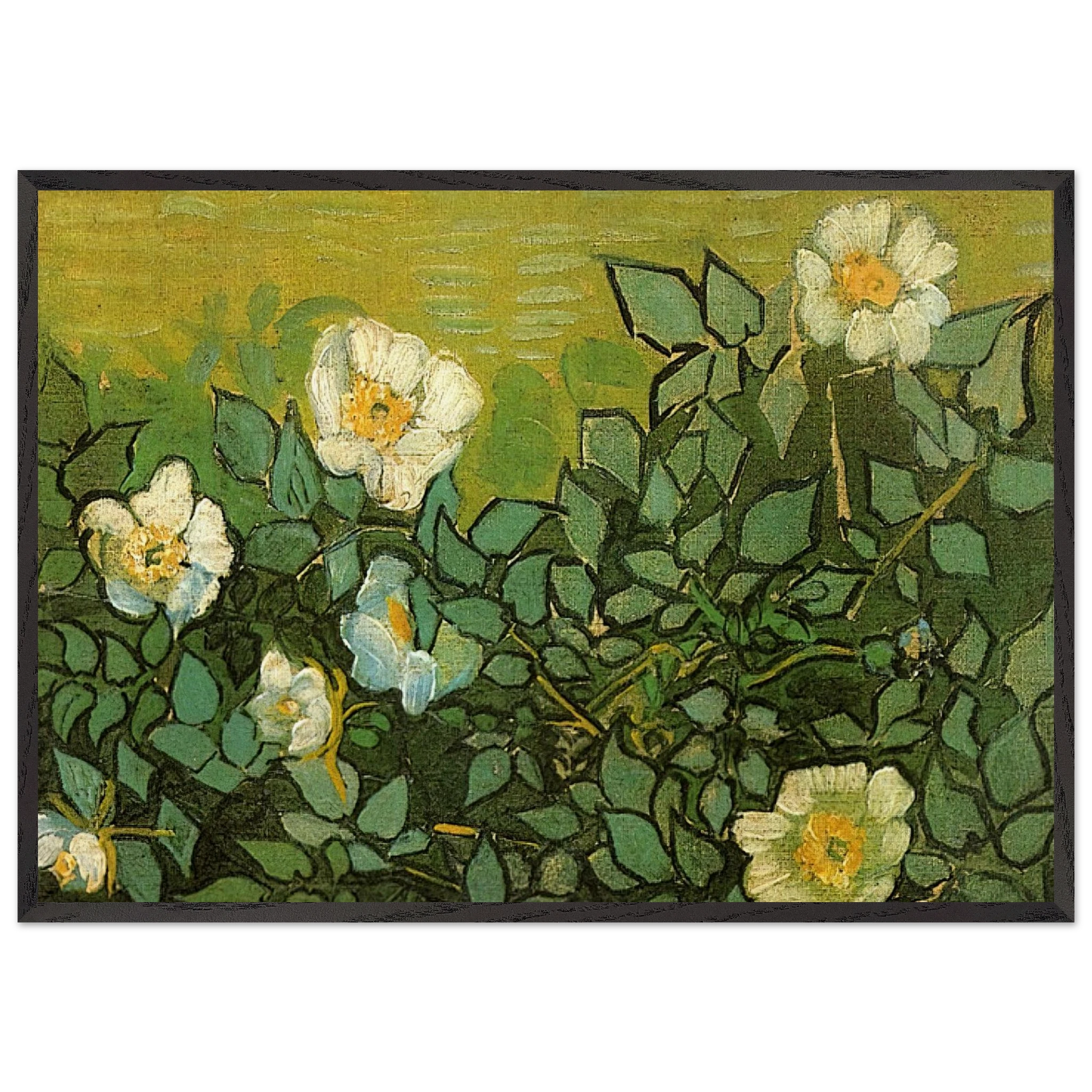 Wild Roses - Vincent van Gogh Framed Art Print – Black Wooden Frame - Default Title - -Framed Art Print