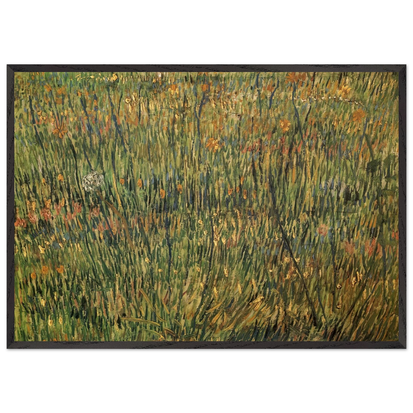 Pasture in Bloom - Vincent van Gogh Framed Art Print – Black Wooden Frame - Default Title - -Framed Art Print