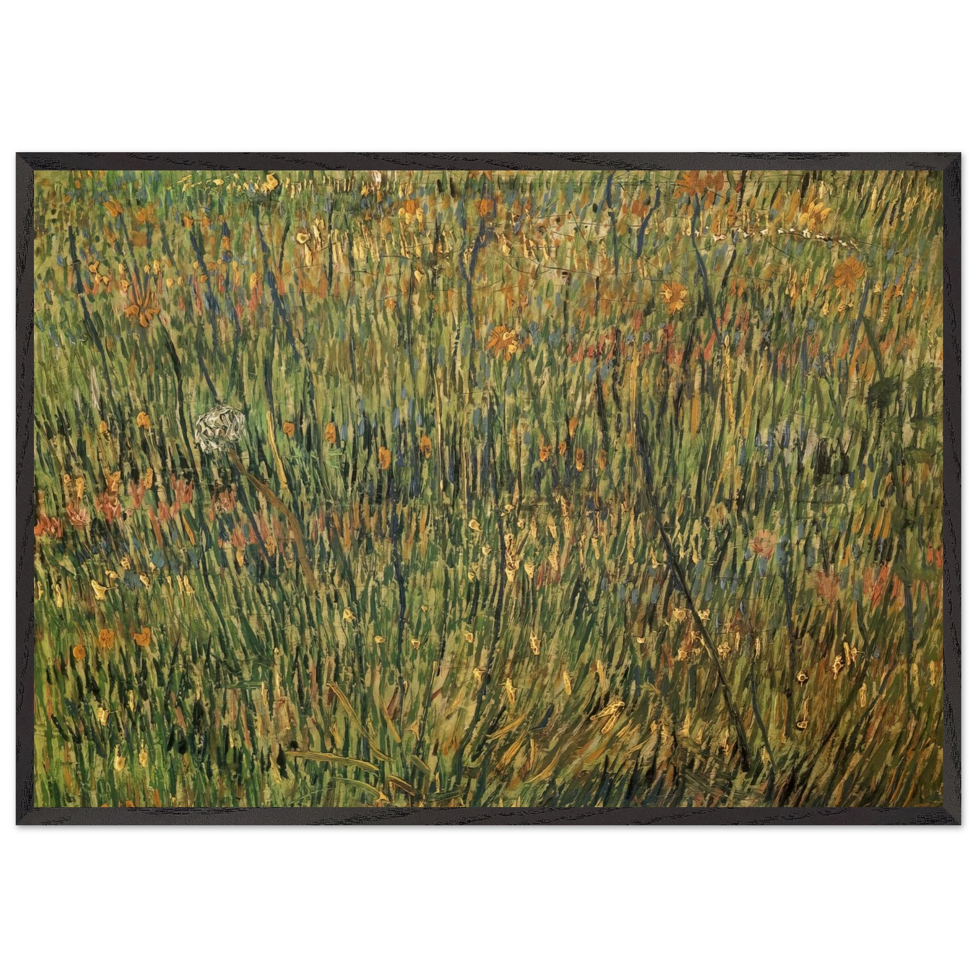 Pasture in Bloom - Vincent van Gogh Framed Art Print – Black Wooden Frame - Default Title - -Framed Art Print