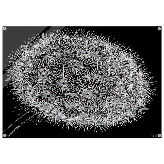 5a1340b8-1bc7-4617-80f9-46a6f7399523