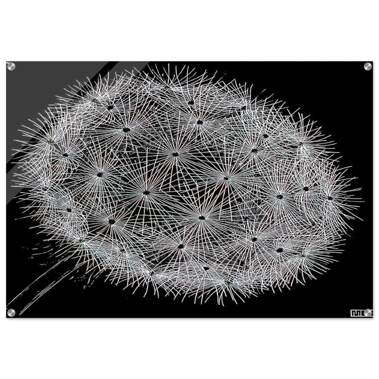 5a1340b8-1bc7-4617-80f9-46a6f7399523