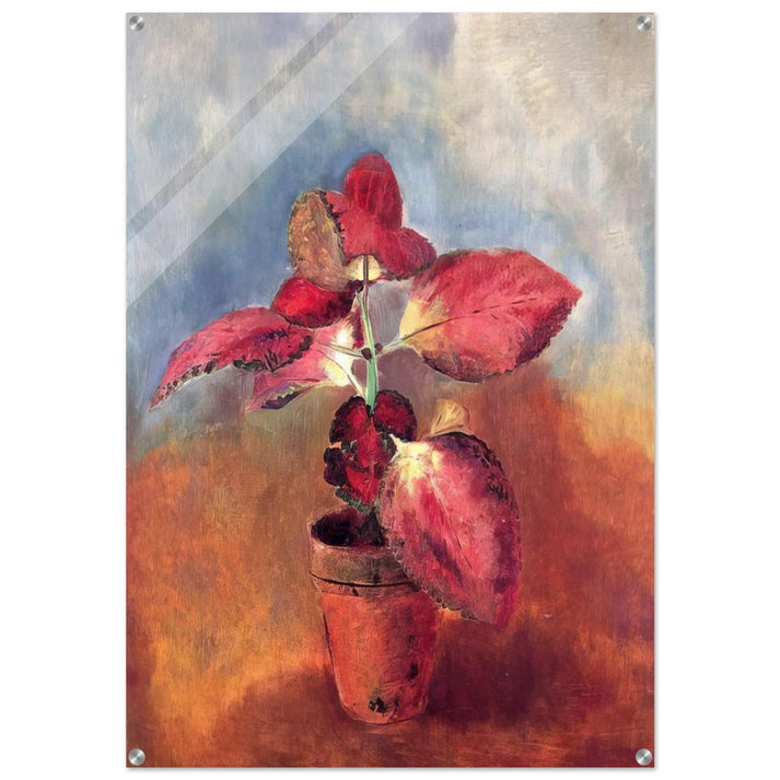 BEGONIA IN A POT - Odilon Redon Acrylic Print - 70x100 cm / 28x40″ inches