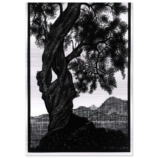 OLD OLIVE TREE CORSICA - MC Escher Brushed Aluminum Print - 70x100 cm / 28x40 inches | MC Escher Aluminum Print | MC Escher Prints