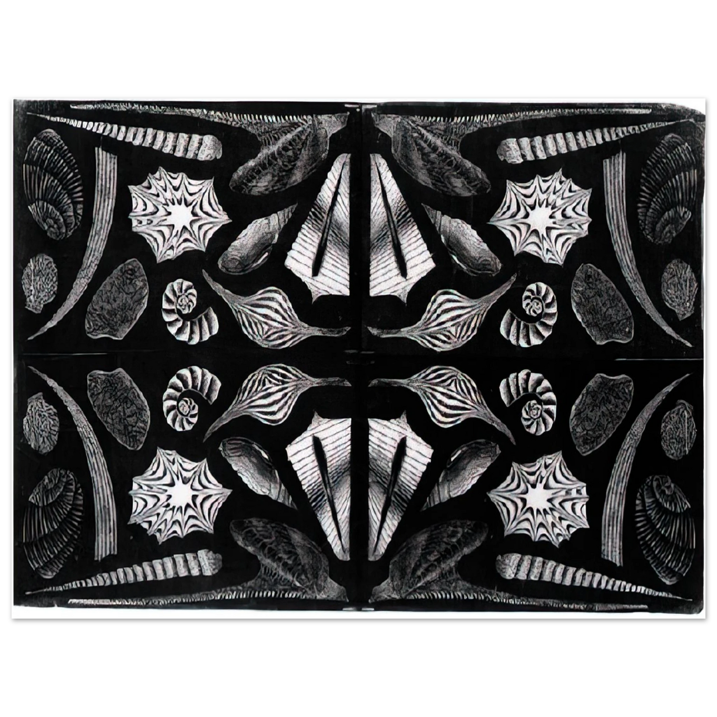 MC Escher - ESCHER (5) Wall Art - 30x40 cm / 12x16 inches - Premium Wooden Framed Poster With Fine Art Paper - Wood frame