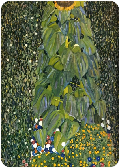 5bc106fd-08fa-485e-81e0-90caef8316f2