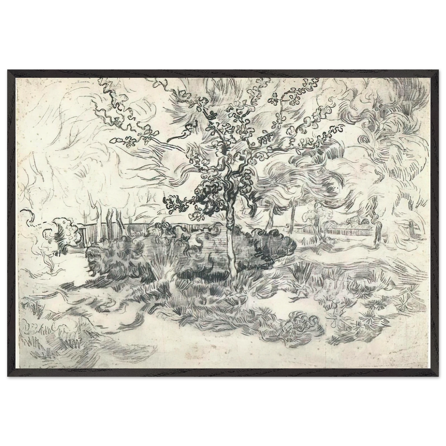 Garden of the Asylum - Vincent van Gogh Framed Art Print – Black Wooden Frame - Default Title - -Framed Art Print