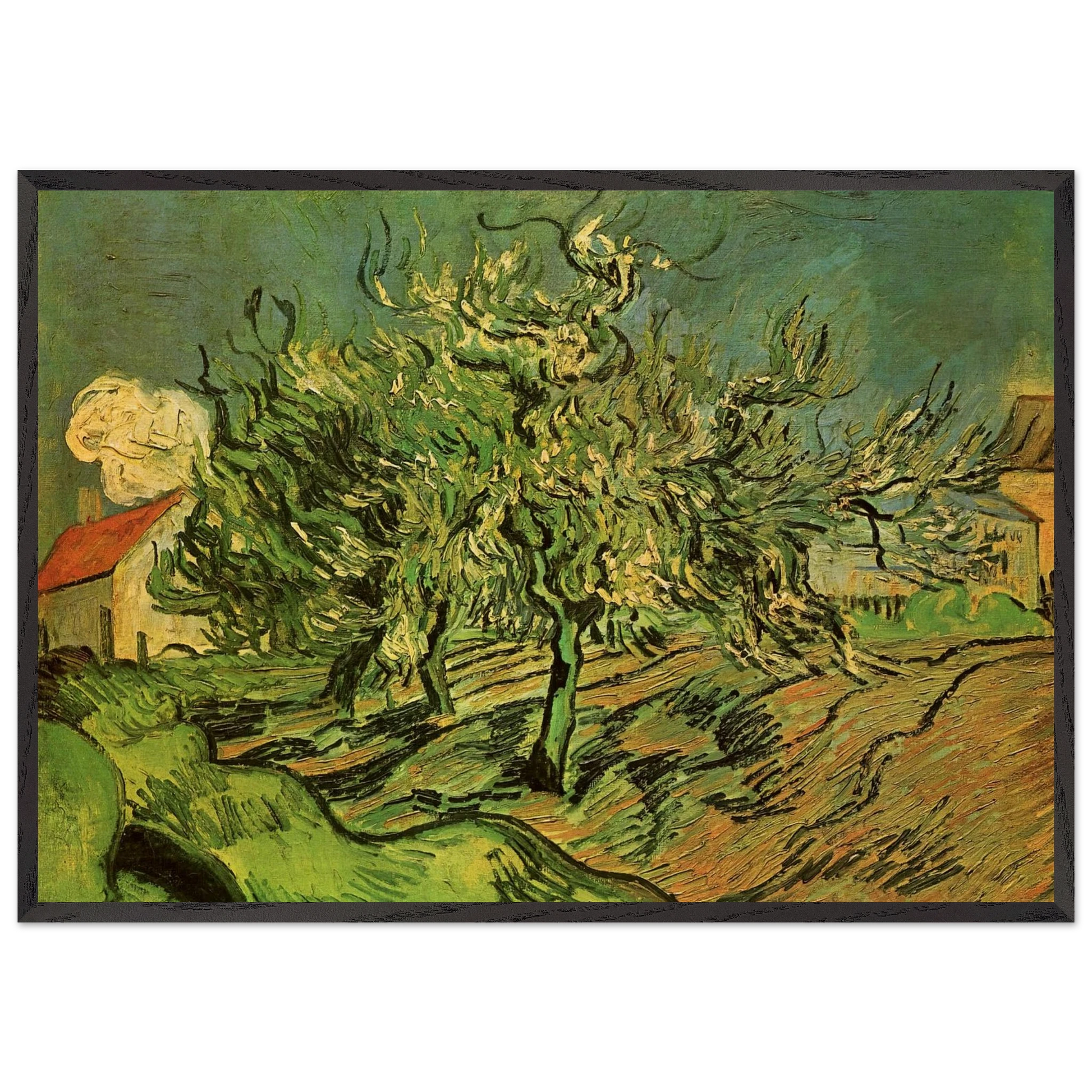 Landscape with Three Trees and a House - Vincent van Gogh Framed Art Print – Black Wooden Frame - Default Title - -Framed Art Print