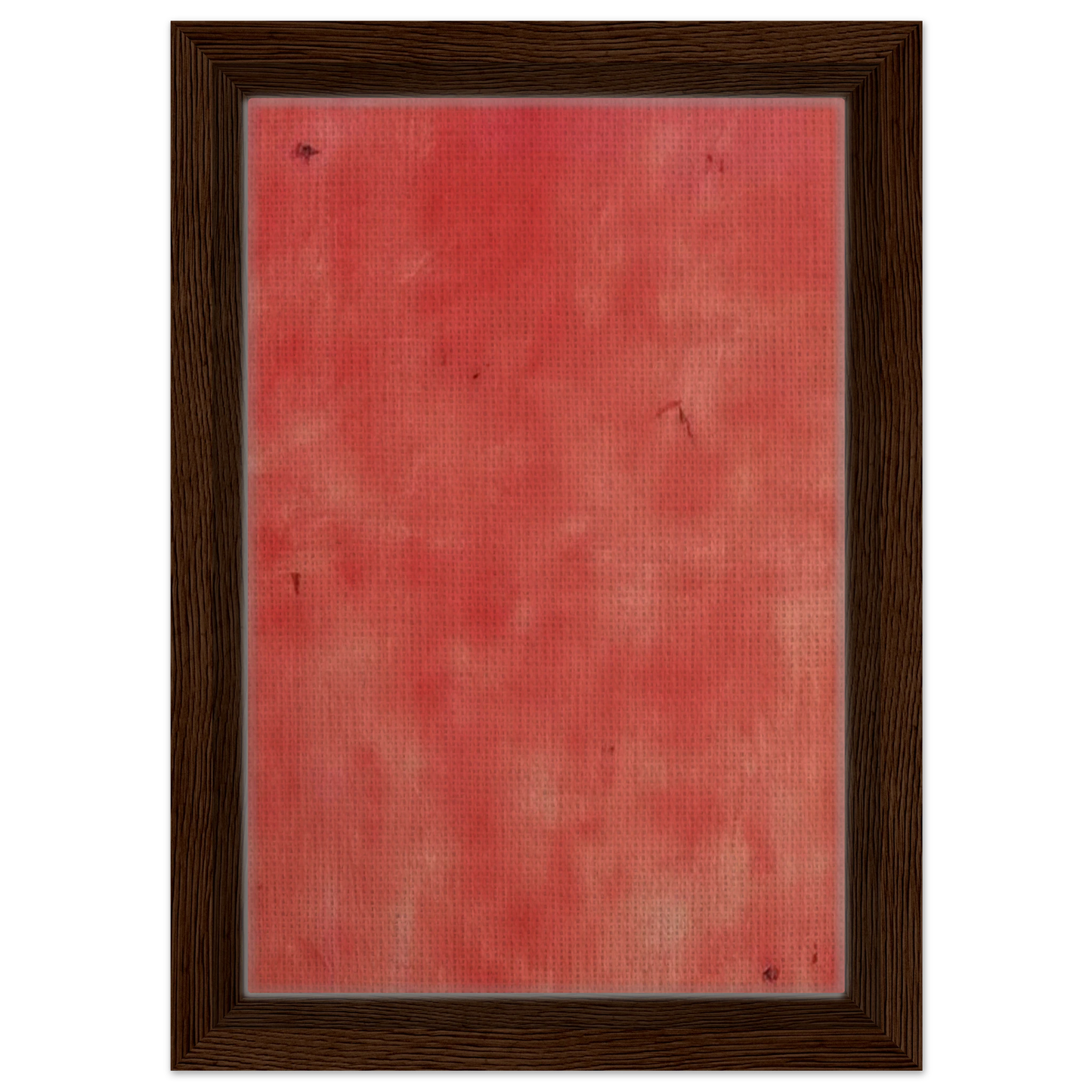 5c721efe-01fd-482a-81ba-2d2996a0d4bb