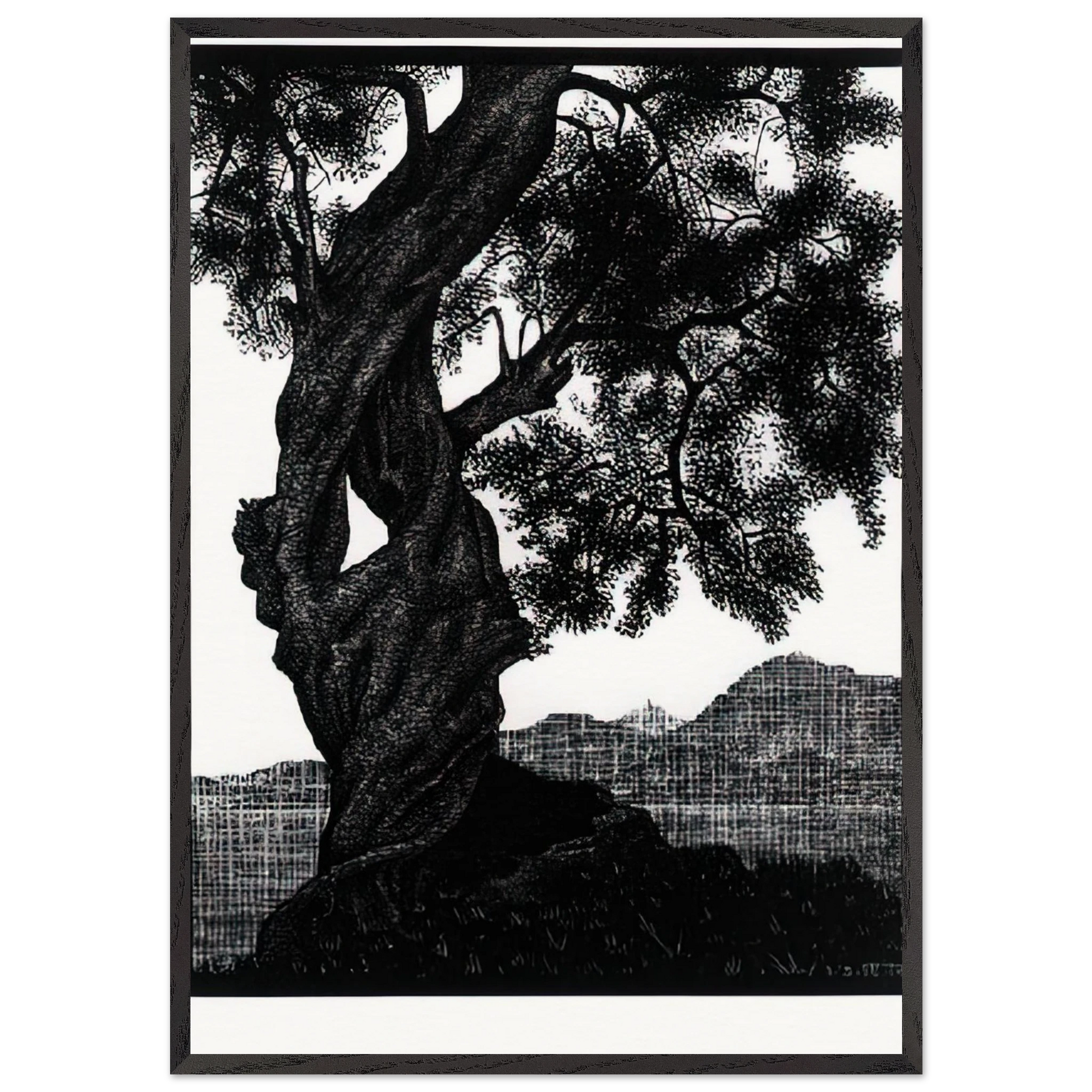 OLD OLIVE TREE CORSICA - MC Escher Framed Art Print – Black Wooden Frame - Default Title - -Framed Art Print