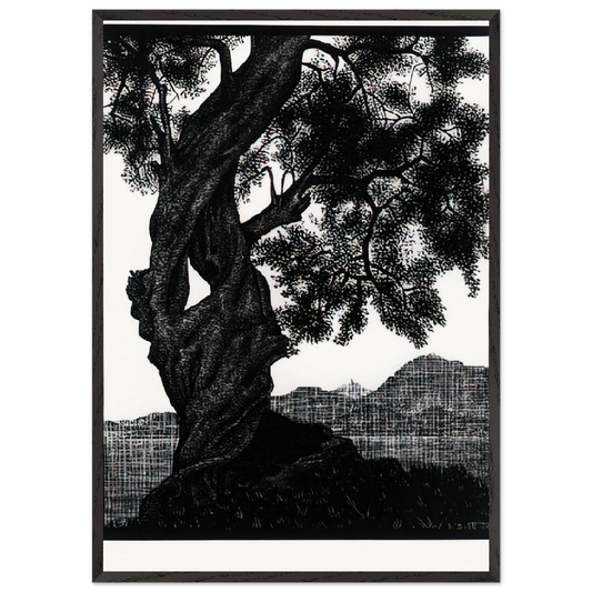 OLD OLIVE TREE CORSICA - MC Escher Framed Art Print – Black Wooden Frame - Default Title - -Framed Art Print