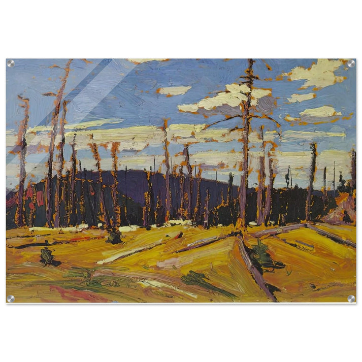 BURNT OVER FOREST 1916 - Tom Thomson Acrylic Print - 70x100 cm / 28x40″ inches
