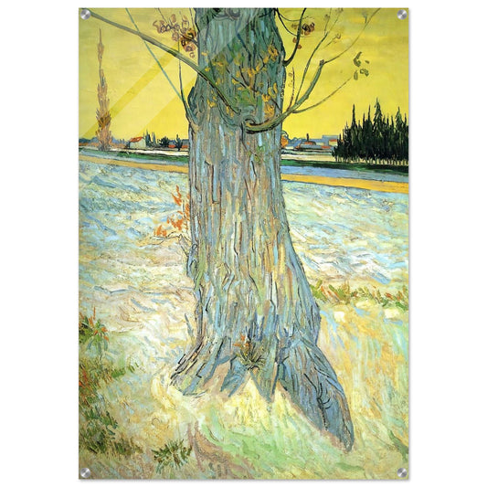 Trunk of an Old Yew Tree - Vincent van Gogh Acrylic Print - 70x100 cm / 28x40″ inches