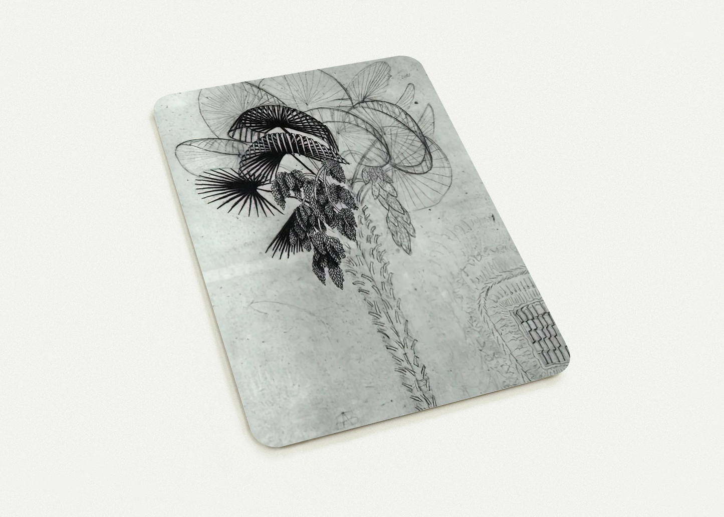 PALM TREE SKETCH By MC Escher Pack of 10 Post Cards | MC Escher Post Cards | A6 (10.5 x 14.8 cm) - 4.1 x 5.8 inches