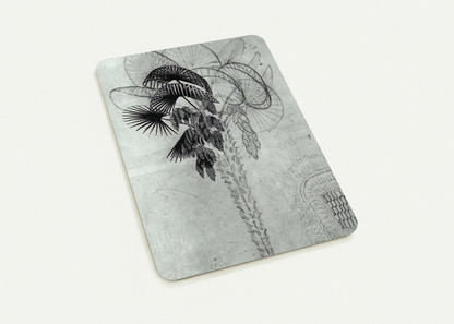 PALM TREE SKETCH By MC Escher Pack of 10 Post Cards | MC Escher Post Cards | A6 (10.5 x 14.8 cm) - 4.1 x 5.8 inches