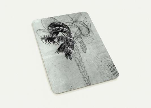 PALM TREE SKETCH By MC Escher Pack of 10 Post Cards | MC Escher Post Cards | A6 (10.5 x 14.8 cm) - 4.1 x 5.8 inches