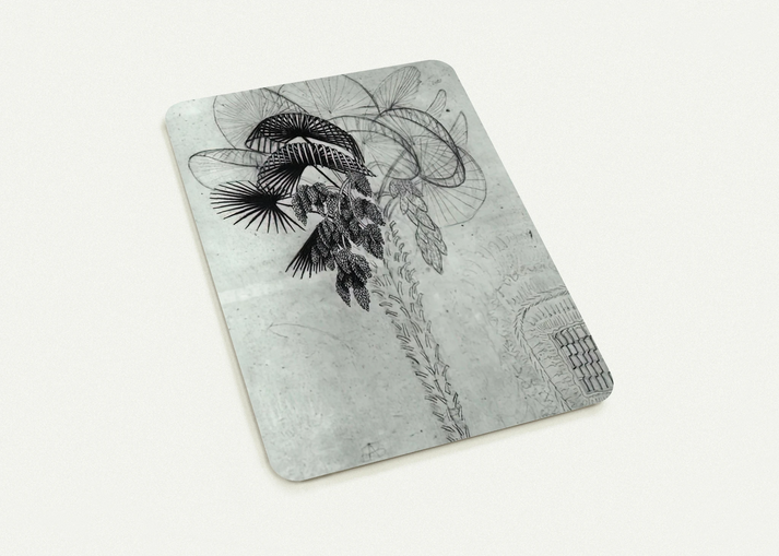 PALM TREE SKETCH By MC Escher Pack of 10 Post Cards | MC Escher Post Cards | A6 (10.5 x 14.8 cm) - 4.1 x 5.8 inches