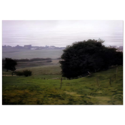 5e6ef716-e458-4eab-a54f-2eed1f9eb5e9