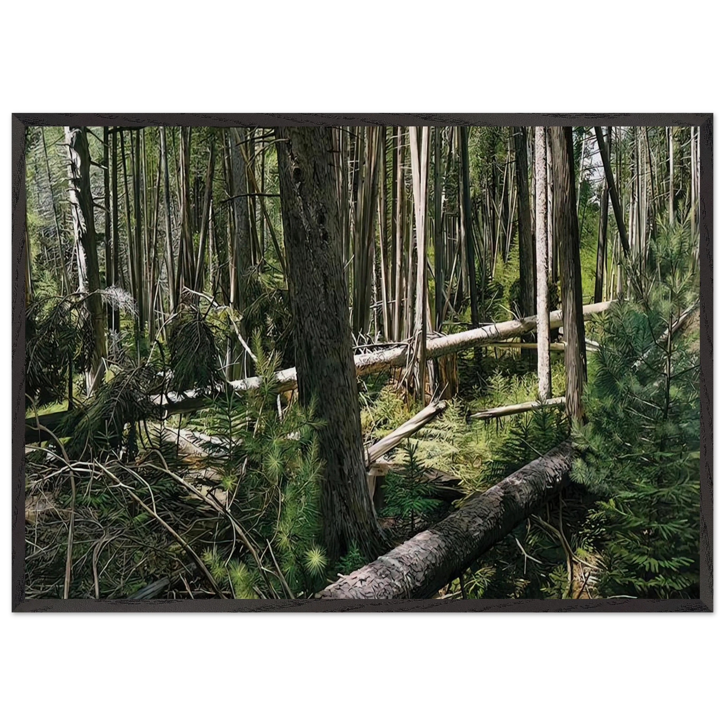 NEAR HUNTERS BEACH ACADIA NATIONAL PARK 2008 - Richard Estes Framed Art Print – Black Wooden Frame - Default Title - -Framed Art Print