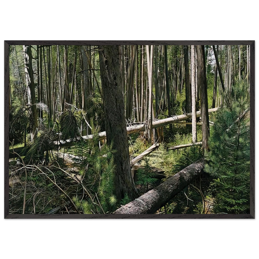 NEAR HUNTERS BEACH ACADIA NATIONAL PARK 2008 - Richard Estes Framed Art Print – Black Wooden Frame - Default Title - -Framed Art Print