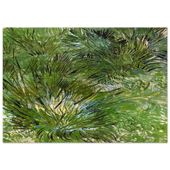 Clumps of Grass - Vincent van Gogh Brushed Aluminum Print - 70x100 cm / 28x40 inches | Vincent van Gogh Aluminum Print | Vincent van Gogh Prints