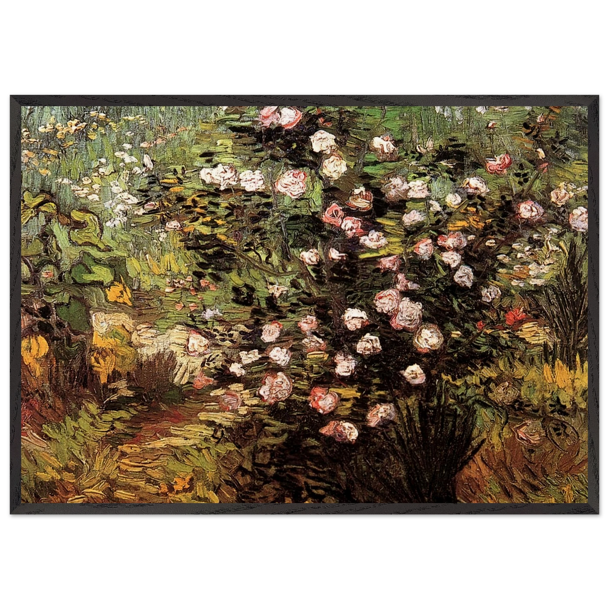 Rosebush in Blossom - Vincent van Gogh Framed Art Print – Black Wooden Frame - Default Title - -Framed Art Print