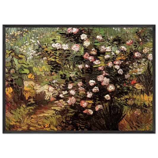 Rosebush in Blossom - Vincent van Gogh 70x100 cm / 28x40 inches Framed Art Print – Black Wooden Frame